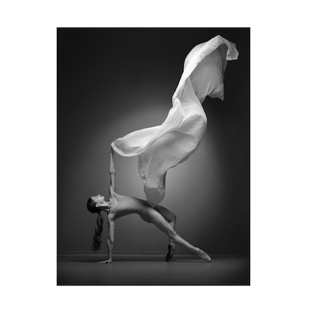 Andrey Stanko 'Art Of Movement Series' Canvas Art, 35x47